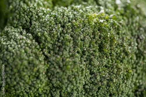 Close-up of broccoli