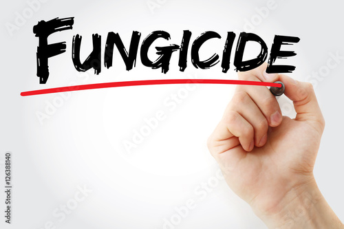 Photography Hand writing Fungicide with marker, concept background