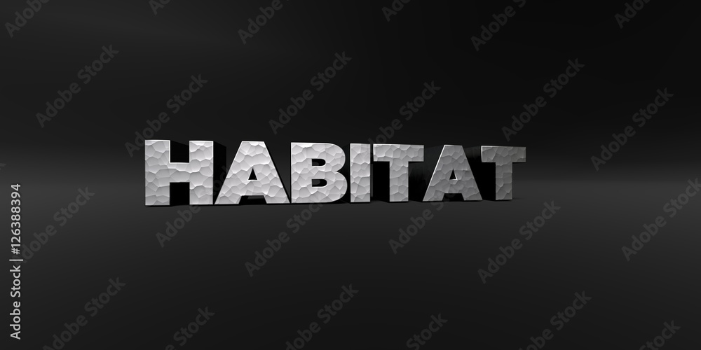 Fototapeta premium HABITAT - hammered metal finish text on black studio - 3D rendered royalty free stock photo. This image can be used for an online website banner ad or a print postcard.