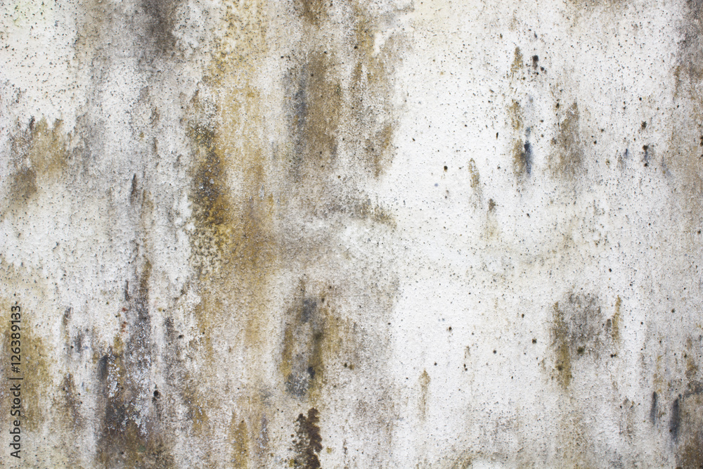 Fototapeta premium White concrete walls dirty surfaces