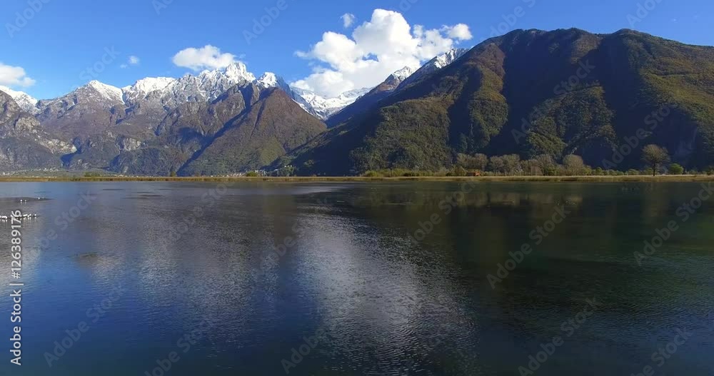 Aerial 4k - Riserva Naturale di Pian di Spagna - Lago di Novate Mezzola - Valchiavenna (IT) - gabbiani