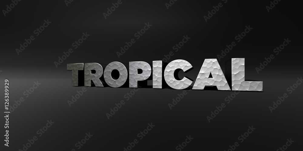 TROPICAL - hammered metal finish text on black studio - 3D rendered royalty free stock photo. This image can be used for an online website banner ad or a print postcard.