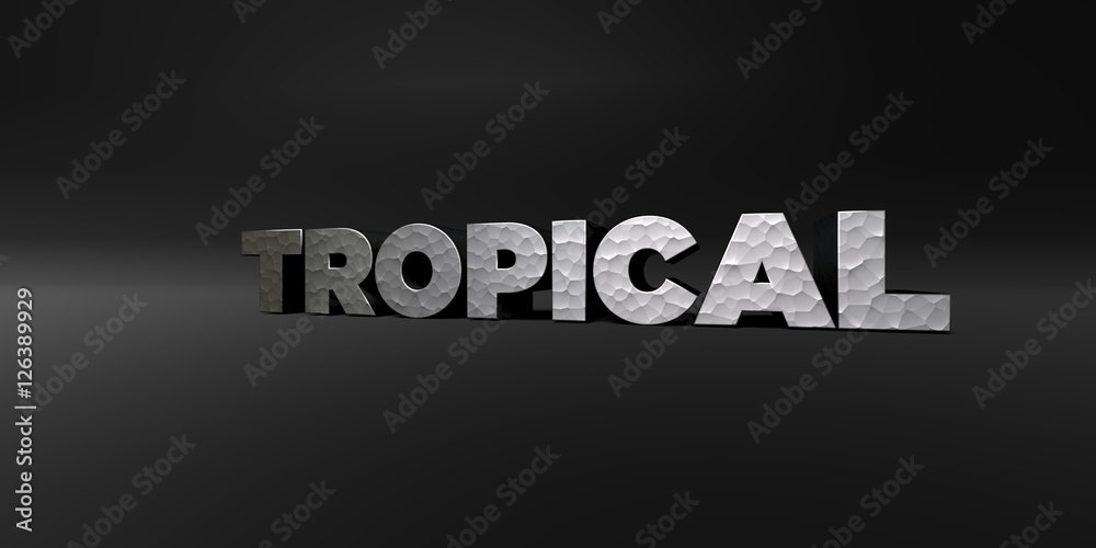 TROPICAL - hammered metal finish text on black studio - 3D rendered royalty free stock photo. This image can be used for an online website banner ad or a print postcard. TROPICAL - hammered metal finish text on black studio - 3D rendered royalty free stock photo. This image can be used for an online website banner ad or a print postcard.