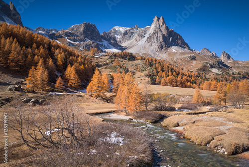 The river Claree and Larch trees in Vallee de la Claree during a clear day in autumn.