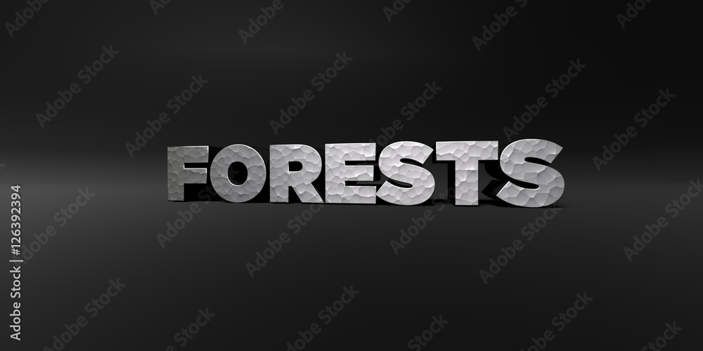 FORESTS - hammered metal finish text on black studio - 3D rendered royalty free stock photo. This image can be used for an online website banner ad or a print postcard.