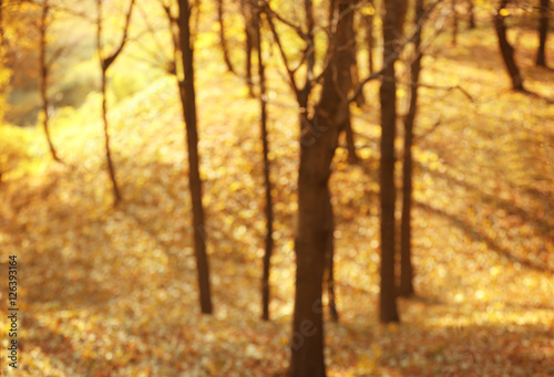 Blurred autumn park background