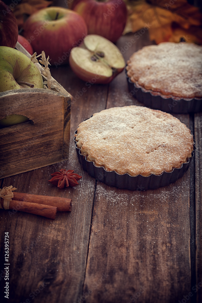 Fototapeta premium Apple tart with cinnamon and copy space 