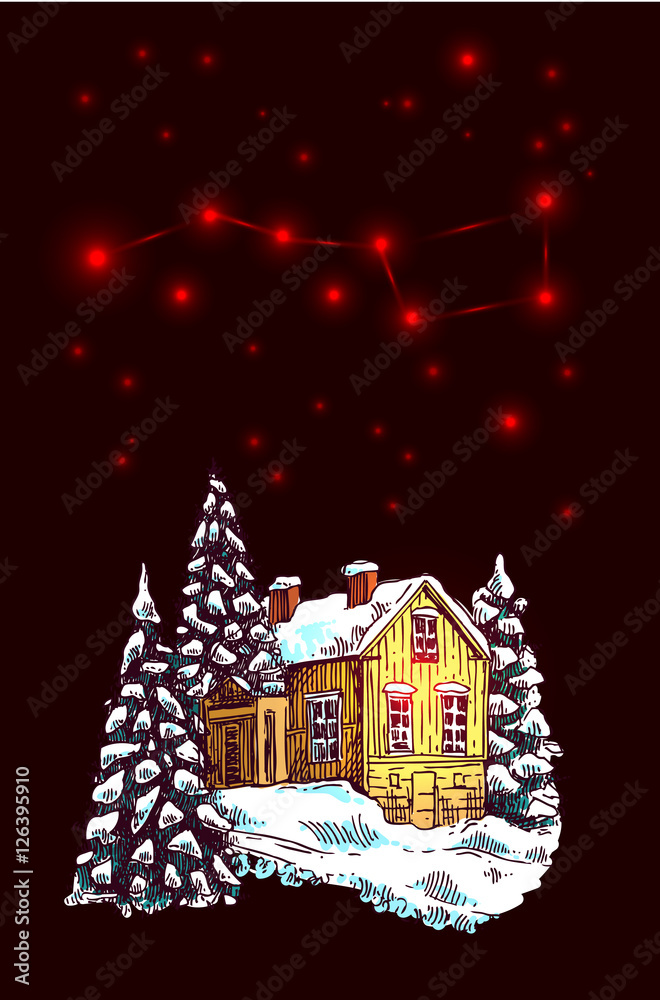 christmas night landscape