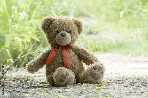 Teddy bear sit on the ground, with yellow petals.