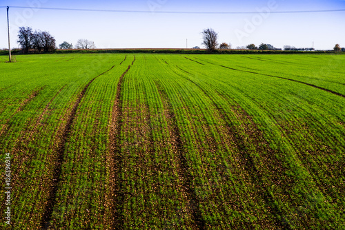 fields agriculture uk