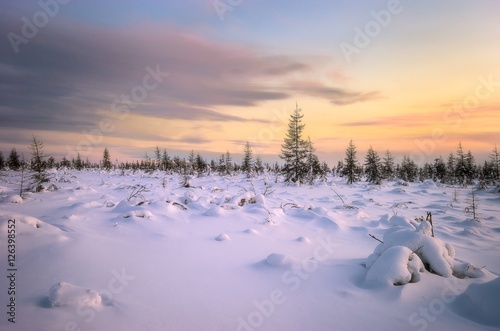 Winter landscape with forest, sun and snow.