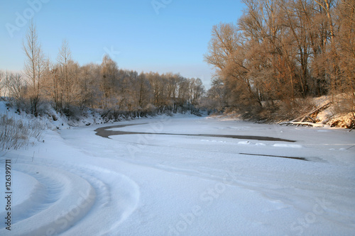 frosty beauty