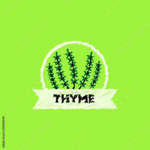 flat vector icon design collection Kitchenware seasoning thyme