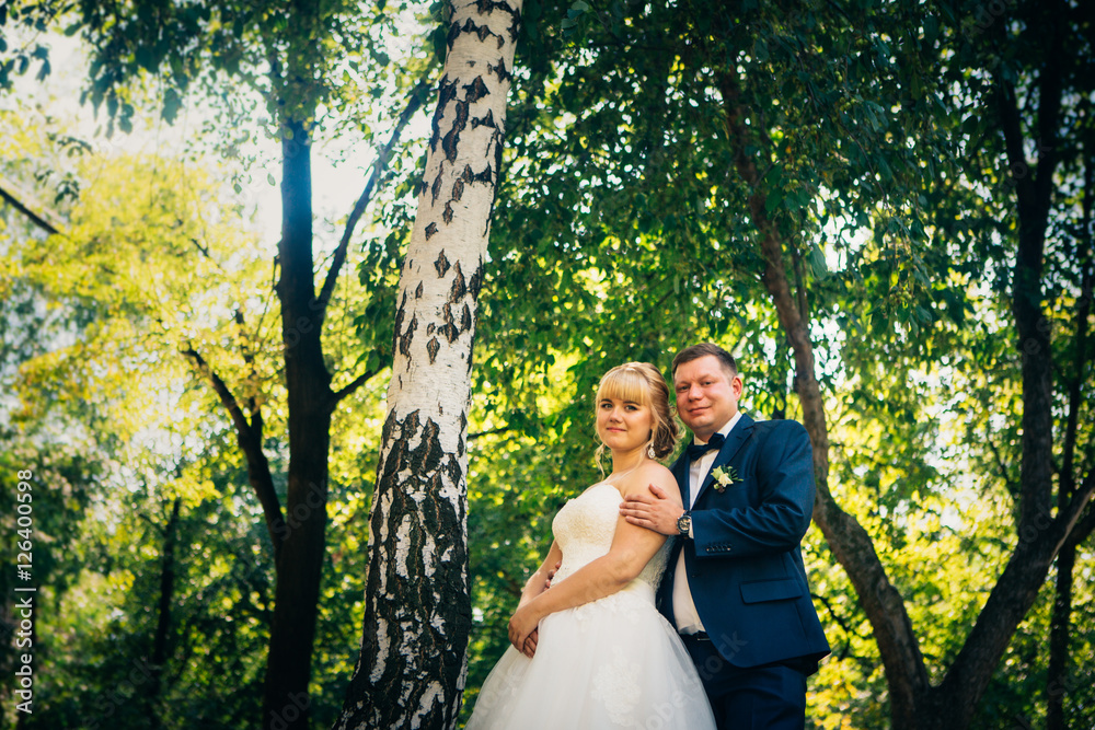 couple bride and groom on the background of the park's trees couple bride and groom on the background of the park's trees