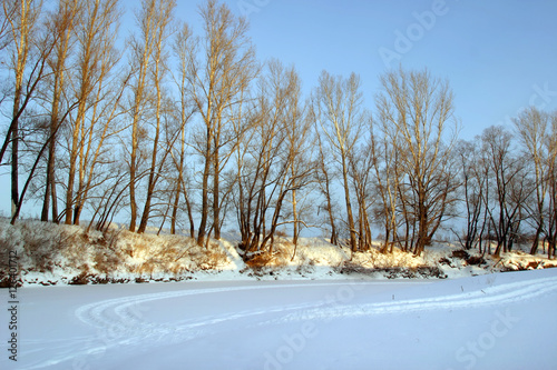 winter morning on the river photo