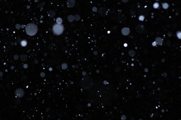 Real falling snow on a black background for use as a texture layer in your project. Add as "Lighten" Layer in Photoshop to add falling snow to any image. Adjust opacity to taste. 