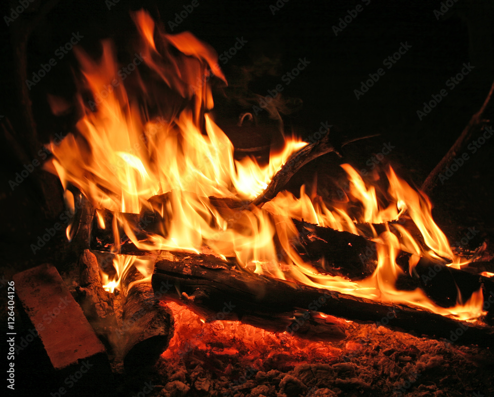 Fototapeta premium bonfire