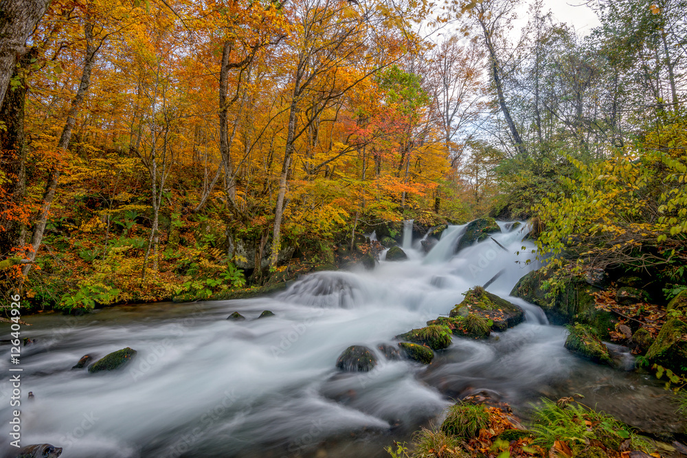 Waterfall in Oirase stream, Towada, Japan. Waterfall in Oirase stream, Towada, Japan.