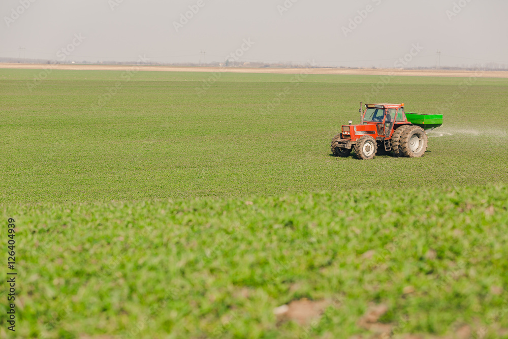 Farmer in tractor fertilizing wheat field at spring with npk Farmer in tractor fertilizing wheat field at spring with npk