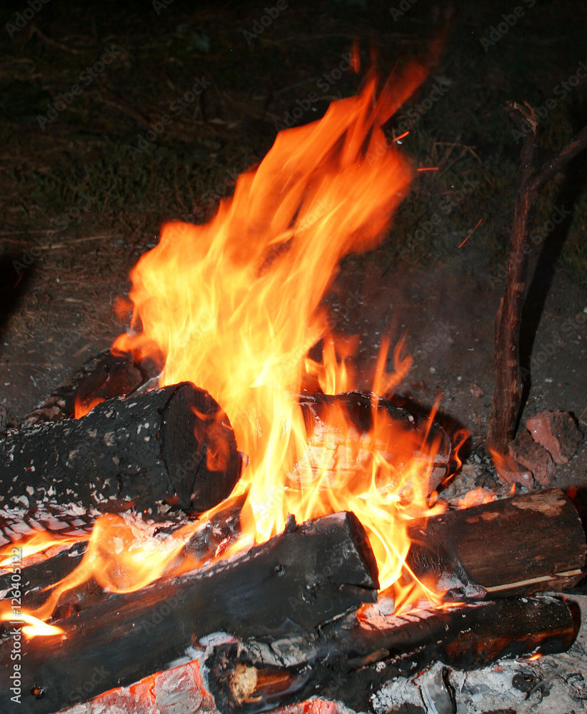 bonfire bonfire