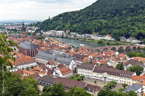 Panorama View on Heidelberg, Germany, Europe