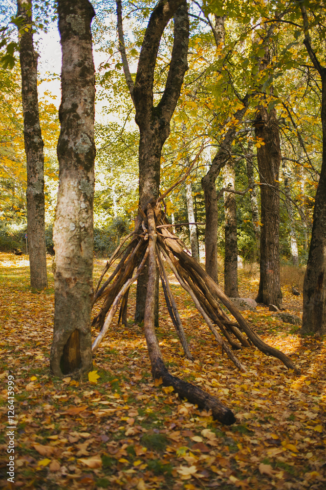 Paisaje de otoño. Paisaje otoñal. Otoño en el bosque. Autumn landscape.  Stock Photo | Adobe Stock