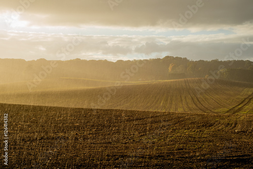 Fotografie, Obraz Rain Falling on Farm Field