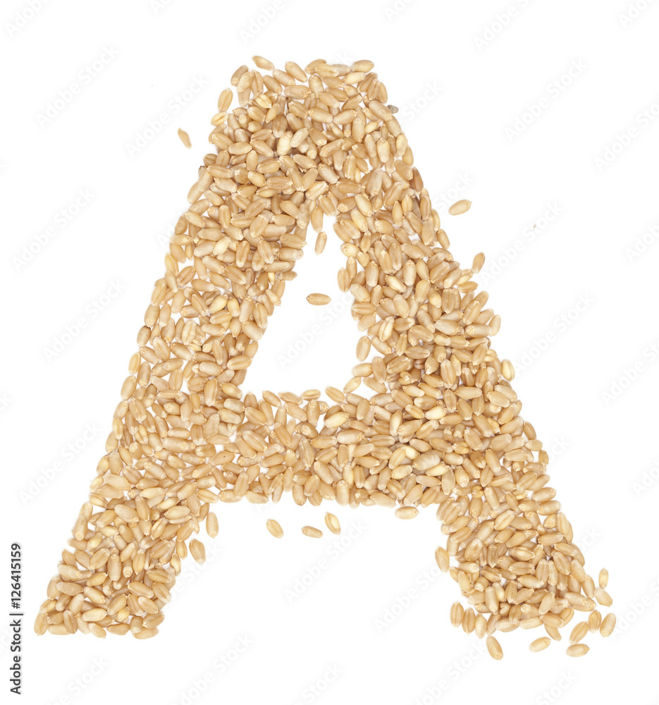 wheat berries wheat berries