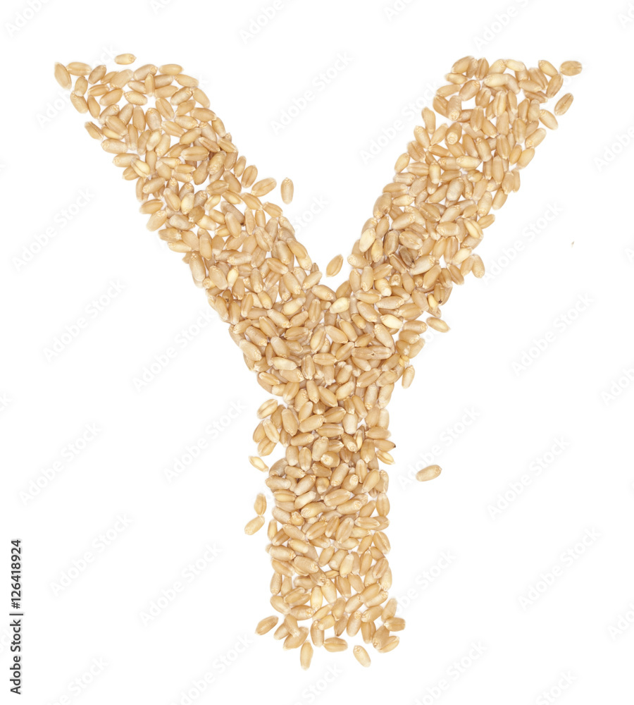 wheat berries wheat berries
