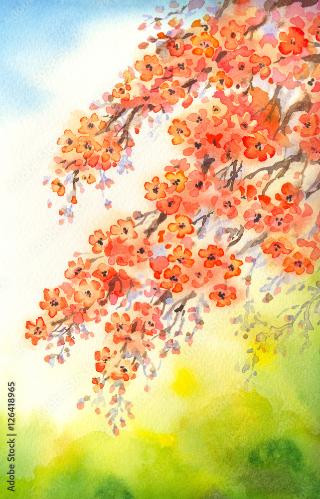Flowering branches. Watercolour background