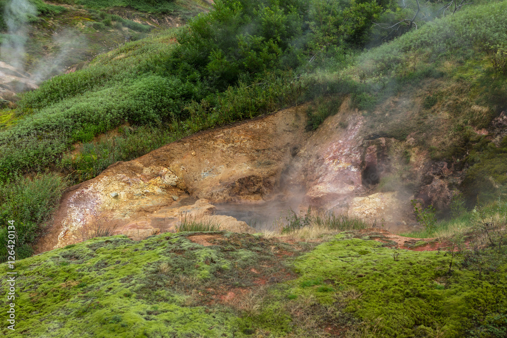 Vanna Bath Geyser in Valley of Geysers. Vanna Bath Geyser in Valley of Geysers.