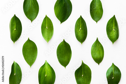 flat lay of green leaves on the white desk pattern