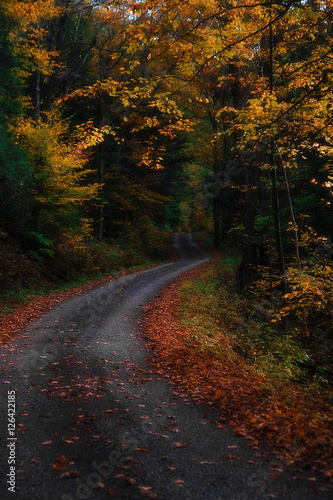 Fall Road © MD