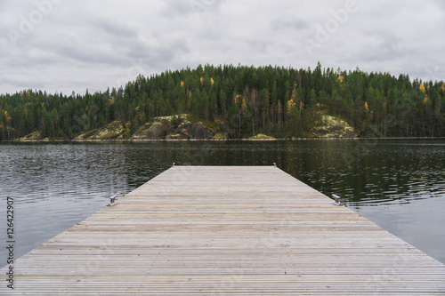 autumn forest and lake landscape from the wooden berth