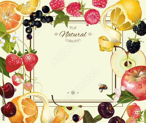 Vector vintage fruit and berry frame. Design for vegetarian menu, tea, ice cream, juice, jam, natural cosmetics, candy and bakery with fruit filling, health care products. With place or text