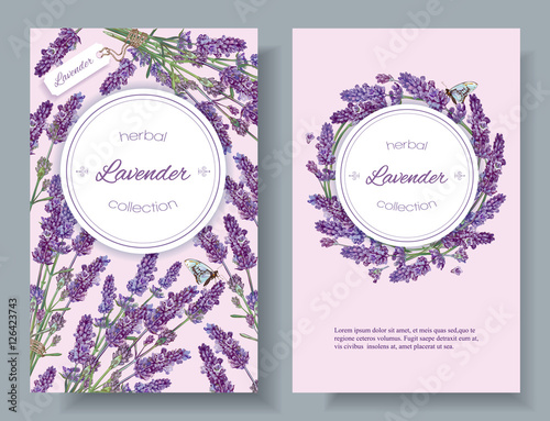 Vector lavender natural cosmetic vertical banners on lilac background. Design for cosmetics, make up, beauty salon, natural and organic products, health care products,aromatherapy. With place for text