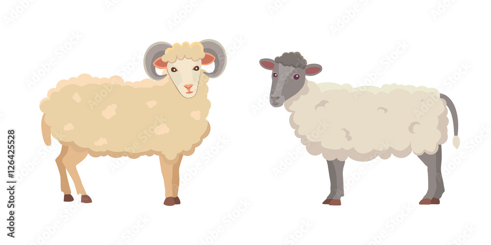 Vector set Cute Sheep and Ram isolated retro illustration. Standing Sheeps silhouette on white. Farm fanny milk young animals Vector set Cute Sheep and Ram isolated retro illustration. Standing Sheeps silhouette on white. Farm fanny milk young animals