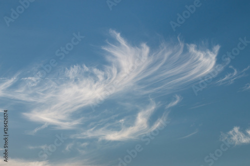 cirrus white clouds photo