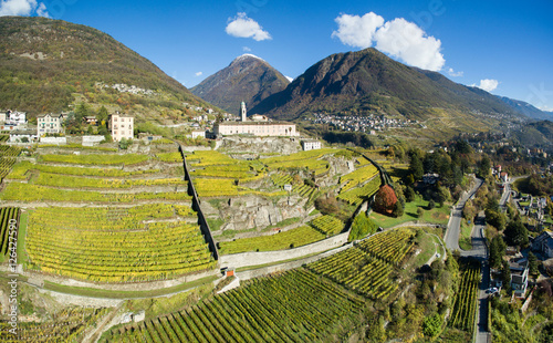 Vigneti e terrazzamenti in Valtellina - Vista aerea su coltivazioni in autunno - Aerial view 4k photo