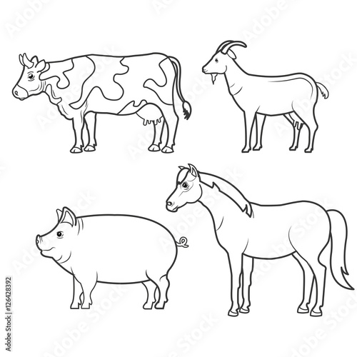 animals farm domestic icon vector illustration design