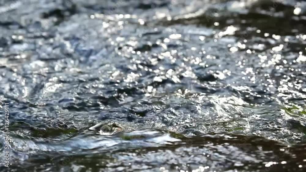 the water in the stream close up