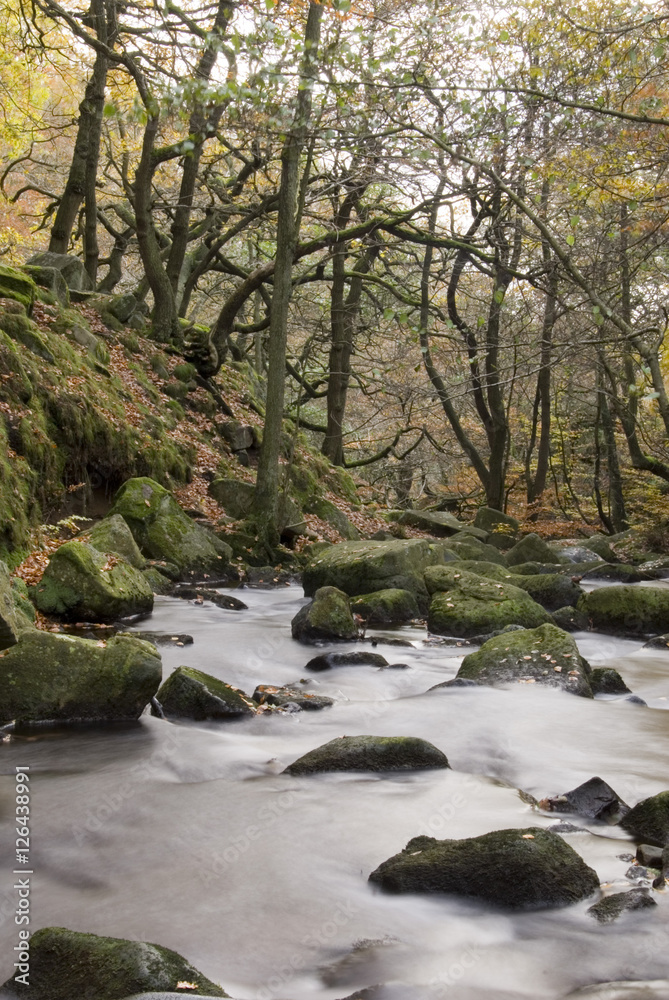 Burbage Brook flows down the forested rocky river valley of Padley Gorge, Longshaw Estate, Peak District, Derbyshire, UK Burbage Brook flows down the forested rocky river valley of Padley Gorge, Longshaw Estate, Peak District, Derbyshire, UK