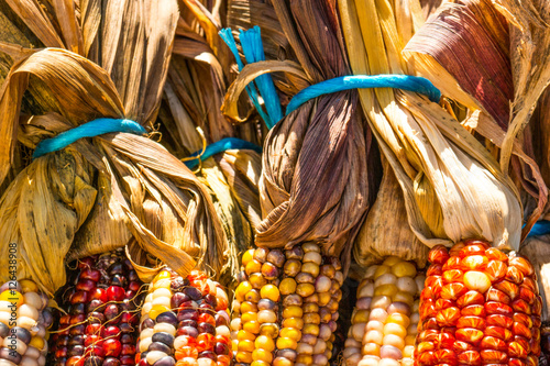 Multi-colored corn for sale photo