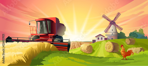 Vector illustration rural summer landscape