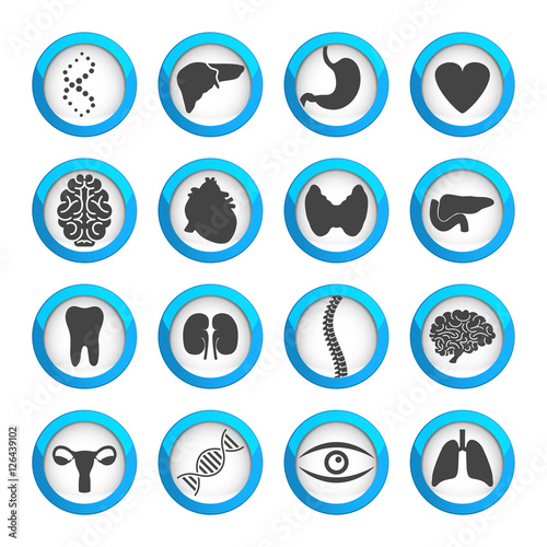 Human organs and parts icon set