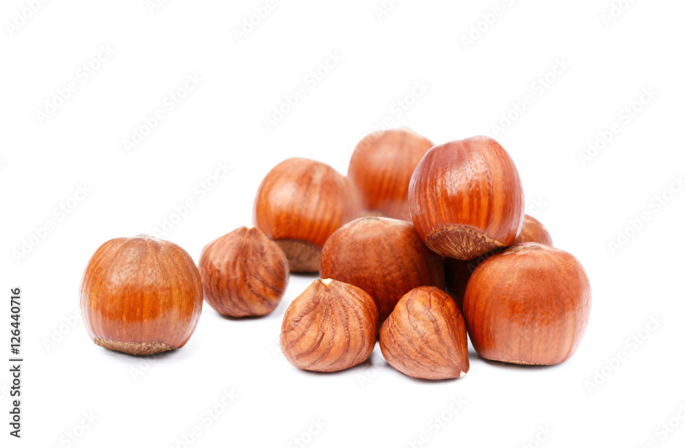 Group healty hazelnuts isolated on white background Group healty hazelnuts isolated on white background