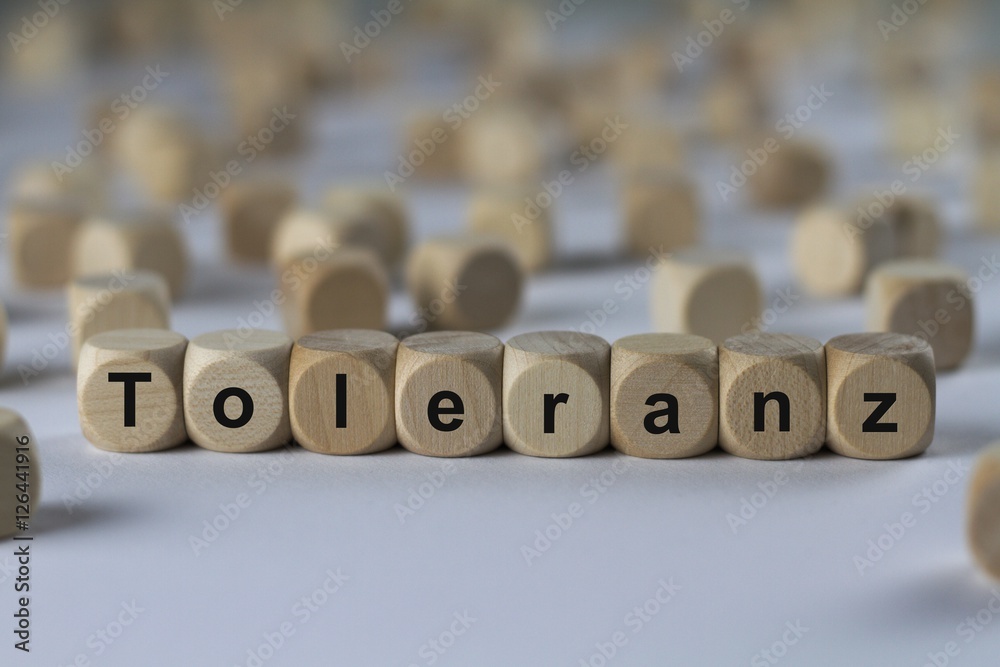 Toleranz - Holzwürfel mit Buchstaben