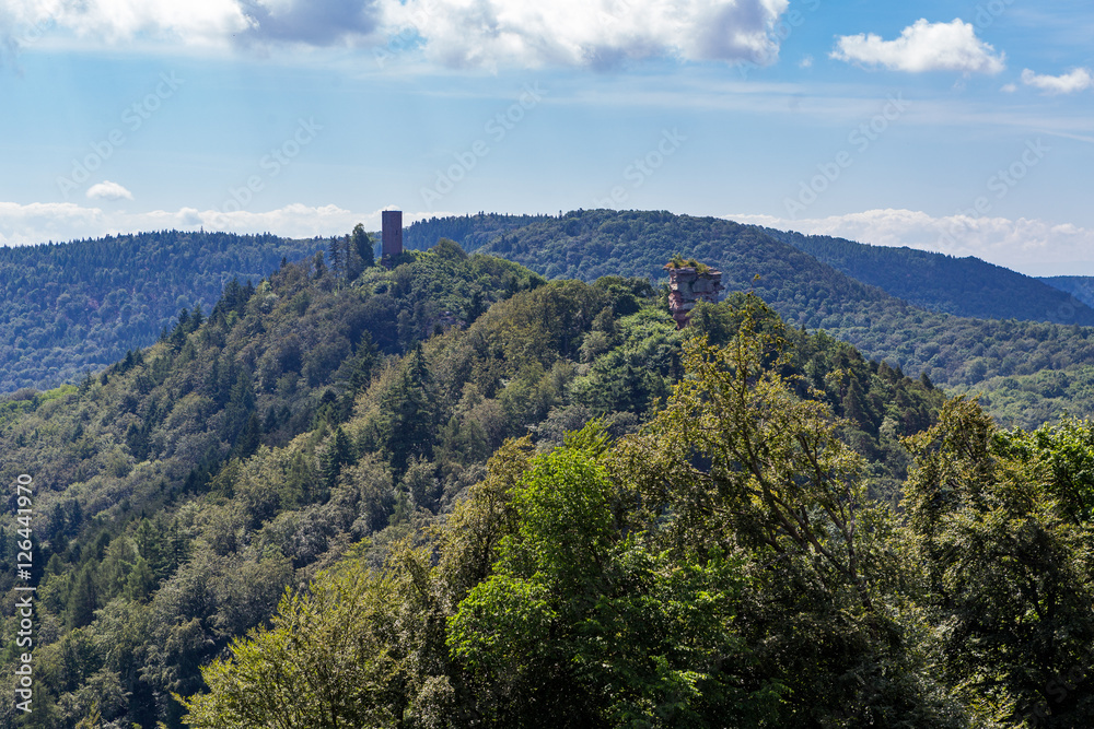 Obraz premium Trifels
