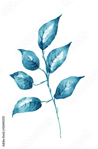 Watercolor leaf on white background design element.