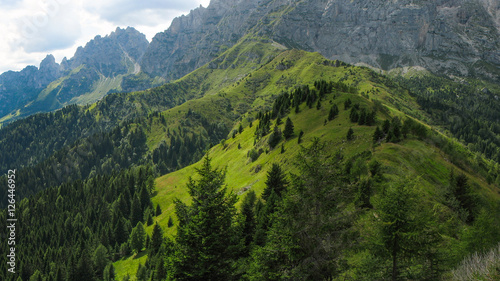 Colline verdi in montagna